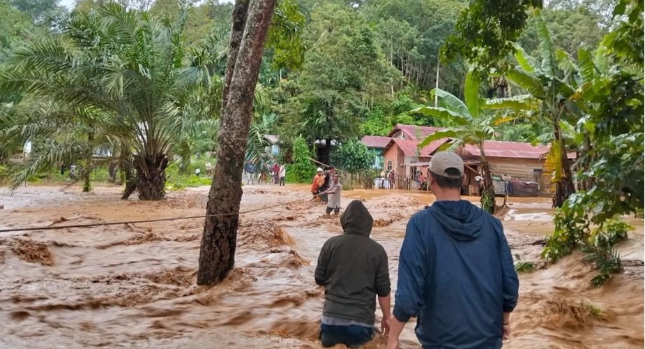 Roots of ecological disaster